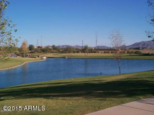 1075 E Rojo Way, Gilbert, AZ 85297 photo 46