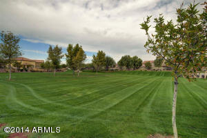 1114 E Rojo Way, Gilbert, AZ 85297 photo 63