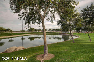 1114 E Rojo Way, Gilbert, AZ 85297 photo 75