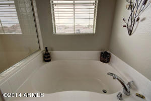 1114 E Rojo Way, Gilbert, AZ 85297 photo 32
