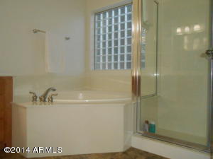 1438 E Constance Way, Phoenix, AZ 85042 photo 12