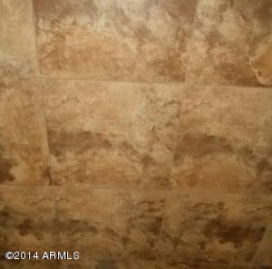1438 E Constance Way, Phoenix, AZ 85042 photo 28