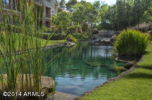 4488 E Thomas Rd #1031, Phoenix, AZ 85018 photo 23