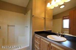 2909 E Oraibi Dr, Phoenix, AZ 85050 photo 15