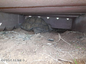 209 N 85th St, Mesa, AZ 85207 photo 23