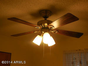 209 N 85th St, Mesa, AZ 85207 photo 13