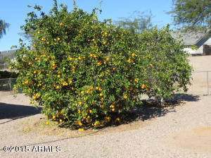 1832 W 13th Ave, Apache Junction, AZ 85120 photo 41
