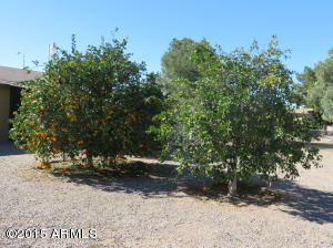 1832 W 13th Ave, Apache Junction, AZ 85120 photo 40