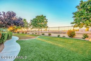 3310 E Fruitvale Ave, Gilbert, AZ 85297 photo 39
