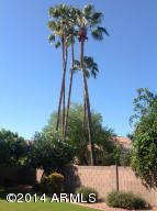 874 W Laurel Ave, Gilbert, AZ 85233 photo 60