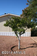 1320 S 76th Pl, Mesa, AZ 85209 photo 21