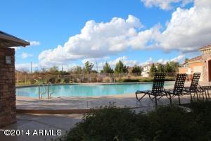 985 S Pheasant Dr, Gilbert, AZ 85296 photo 21