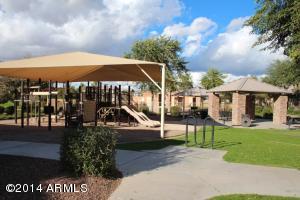 985 S Pheasant Dr, Gilbert, AZ 85296 photo 20
