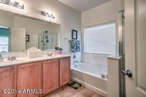 985 S Pheasant Dr, Gilbert, AZ 85296 photo 11