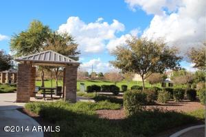 985 S Pheasant Dr, Gilbert, AZ 85296 photo 24