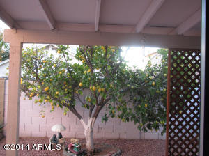 3134 E Mckellips Rd #216, Mesa, AZ 85213 photo 25