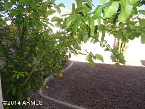 1958 E Drake Dr, Tempe, AZ 85283 photo 26