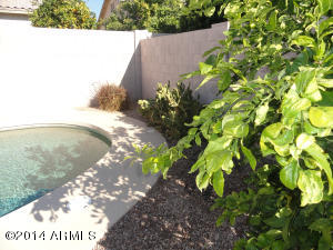 1958 E Drake Dr, Tempe, AZ 85283 photo 25