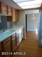 446 E Carter Dr, Tempe, AZ 85282 photo 18