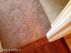 1024 E Frye Rd #1010, Phoenix, AZ 85048 photo 6