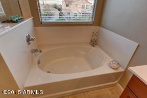 3462 E Liberty Ln, Gilbert, AZ 85296 photo 43