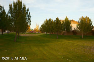 3421 E Marlene Dr, Gilbert, AZ 85296 photo 9