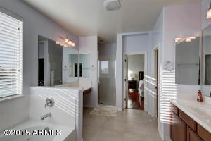 3421 E Marlene Dr, Gilbert, AZ 85296 photo 52