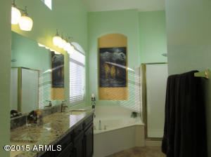 1603 E Commerce Ave, Gilbert, AZ 85234 photo 32