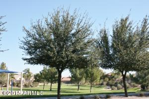 3793 E Ironhorse Rd, Gilbert, AZ 85297 photo 33