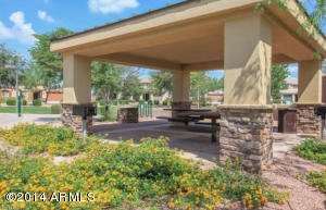 2717 E Ficus Way, Gilbert, AZ 85298 photo 23