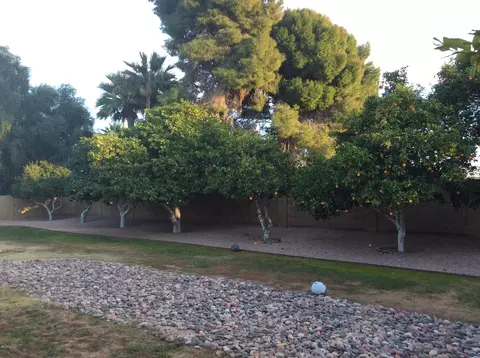 4317 E Yucca St, Phoenix, AZ 85028 photo 12