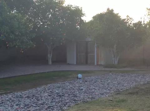4317 E Yucca St, Phoenix, AZ 85028 photo 7