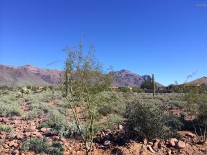 6794 E Diamondback Ln, Apache Junction, AZ 85119 photo 27