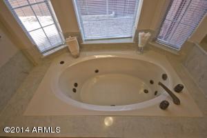 3362 E Dover St, Mesa, AZ 85213 photo 26
