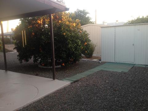 6021 E Billings St, Mesa, AZ 85205 photo 25