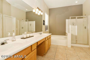 8932 E Hannibal St, Mesa, AZ 85207 photo 13