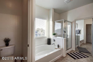 2820 E Tina Ln, Gilbert, AZ 85298 photo 61