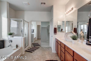 2820 E Tina Ln, Gilbert, AZ 85298 photo 57