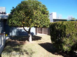 2919 E Caballero St, Mesa, AZ 85213 photo 99