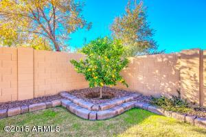 3975 E Fruitvale Ave, Gilbert, AZ 85297 photo 23