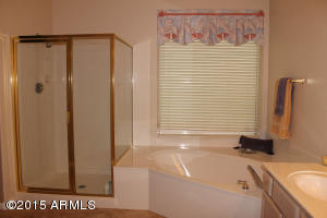 3155 E Tanglewood Dr, Phoenix, AZ 85048 photo 14