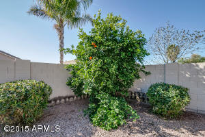 9931 E Lindner Ave, Mesa, AZ 85209 photo 31