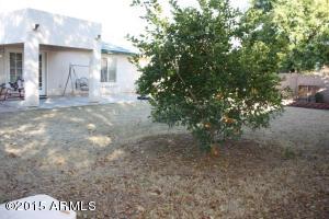 2883 E Pony Ct, Gilbert, AZ 85295 photo 25