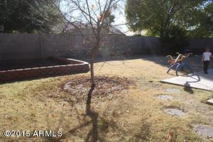 2883 E Pony Ct, Gilbert, AZ 85295 photo 24