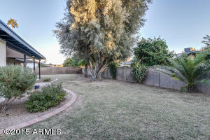 1745 E Hope St, Mesa, AZ 85203 photo 36