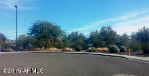 2519 E Park View Ln, Phoenix, AZ 85024 photo 49