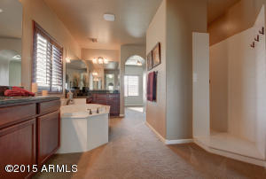 2519 E Park View Ln, Phoenix, AZ 85024 photo 33