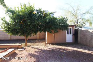 4359 E Michelle Dr, Phoenix, AZ 85032 photo 36