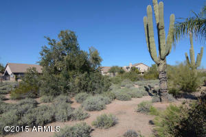 4614 E Chisum Trl, Phoenix, AZ 85050 photo 15