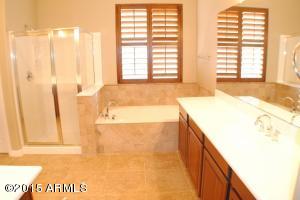 6040 S Mack Ave, Gilbert, AZ 85298 photo 35